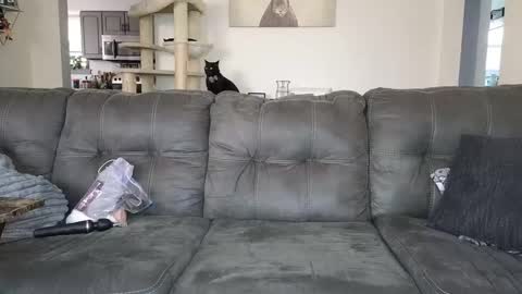 Snapshot of _sophia_grace_ chatting on 11.12.25 SophiaGraceKnight online show from 11.12.25