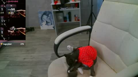 Snapshot of _sweet_ruby_ chatting on 02.26.25 Milana welcome to my world online show from 02.26.25