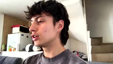 a littlee bear online show from 11.11.25