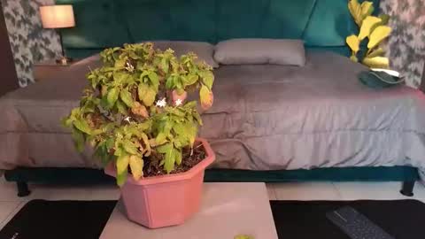 Aaron Ezequiel online show from 01.31.26