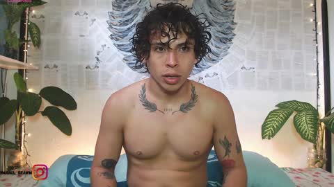 Manul online show from 01.02.25