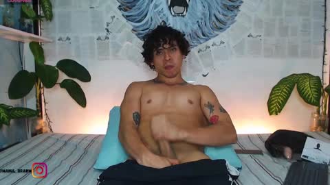 Manul online show from 01.08.25