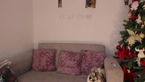 Snapshot of abbey_allen chatting on 12.12.24 Abbey  IG abby allenn  04 December Online at  I will be on vacation dont forget me  See you soon   online show from 12.12.24