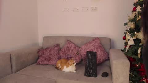 Snapshot of abbey_allen chatting on 12.14.24 Abbey  IG abby allenn  04 December Online at  I will be on vacation dont forget me  See you soon   online show from 12.14.24