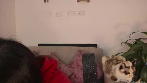 Snapshot of abbey_allen chatting on 03.07.25 Abbey  IG abby allenn  04 December Online at  I will be on vacation dont forget me  See you soon   online show from 03.07.25