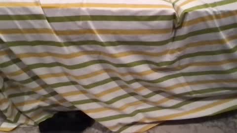 abe_froman2007 online show from 02.11.26