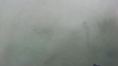 Snapshot of abella677022 chatting on 02.16.26 abella677022 online show from 02.16.26