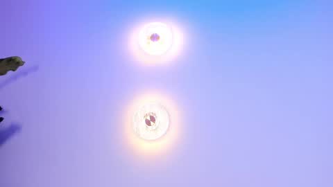 Abi online show from 09.27.25