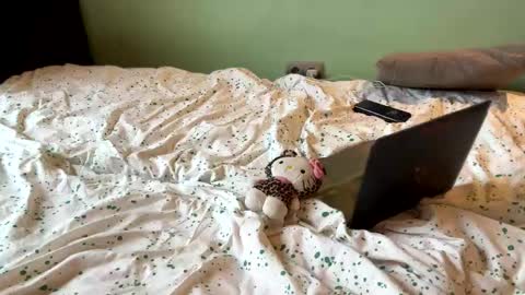 Absolute Horror Field online show from 04.13.26