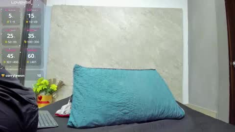 Snapshot of ada_brooke chatting on 10.23.25 ada_brooke online show from 10.23.25