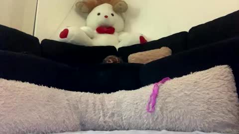 ENIGMA TZX5114 online show from 02.20.25