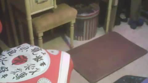 adamsny online show from 02.13.25