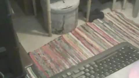 adamsny online show from 11.09.25