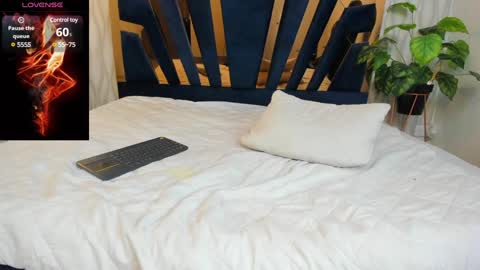 adbel sady online show from 02.06.25