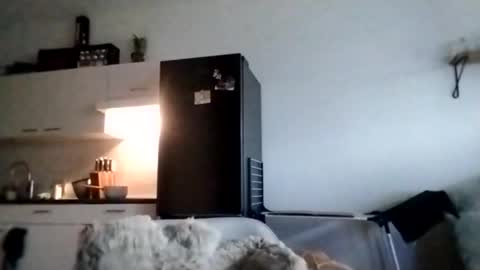 I love a little angel online show from 11.28.25