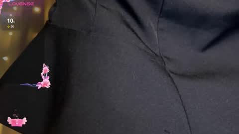 Snapshot of adel_evans chatting on 02.27.26 Adele online show from 02.27.26