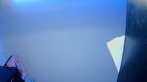     online show from 11.08.25