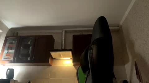 Snapshot of aevra chatting on 12.06.24 vegans taste better online show from 12.06.24