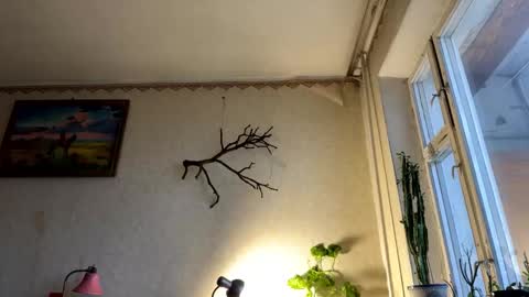 Snapshot of aevra chatting on 10.07.25 vegans taste better online show from 10.07.25