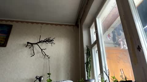 Snapshot of aevra chatting on 10.14.25 vegans taste better online show from 10.14.25