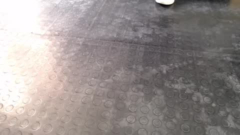 Snapshot of agata_darkness chatting on 12.16.25 Miss Agata online show from 12.16.25