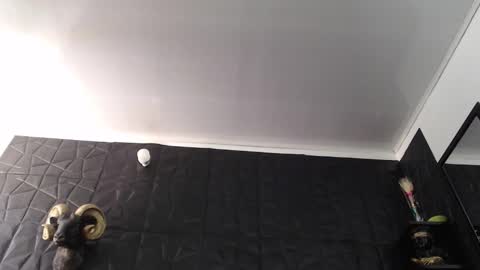  Miss Agata  online show from 02.05.26