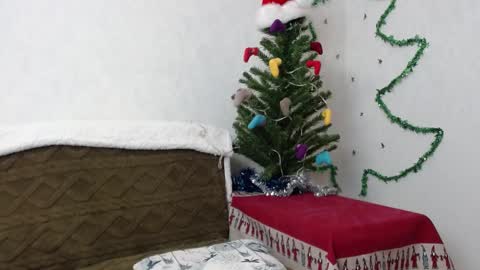 Snapshot of agatha_moore_ chatting on 01.02.25 Agatha online show from 01.02.25