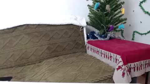 Snapshot of agatha_moore_ chatting on 01.04.25 Agatha online show from 01.04.25