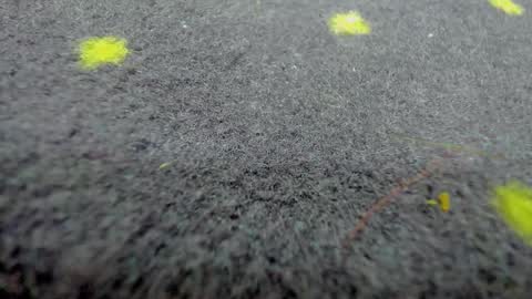 Aisha online show from 03.21.26