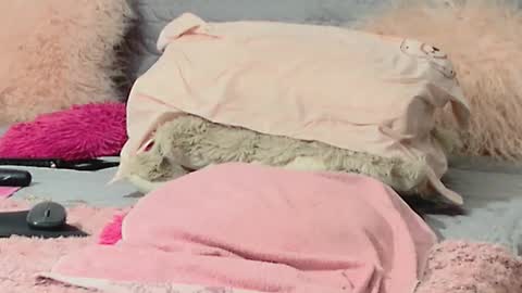 Aitanna Love online show from 03.10.26