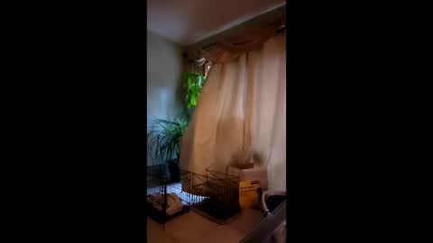 ajiii1313 online show from 04.03.26