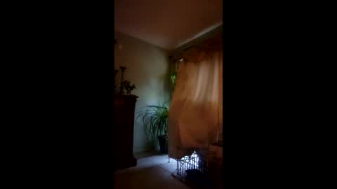 ajiii1313 online show from 04.04.26