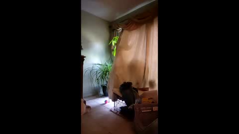 ajiii1313 online show from 04.10.26