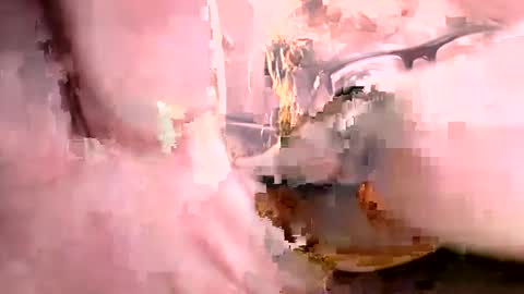 Ajishigh online show from 10.01.25