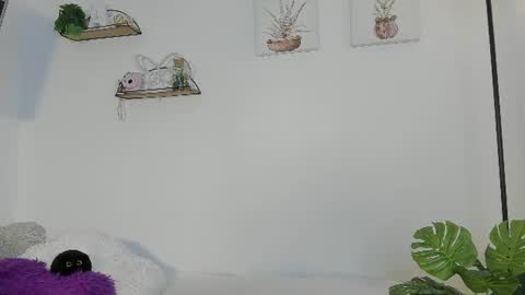   online show from 06.24.26