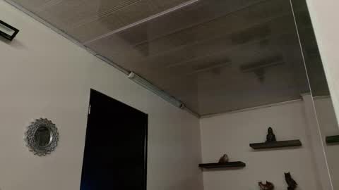 Maeve  online show from 09.25.25