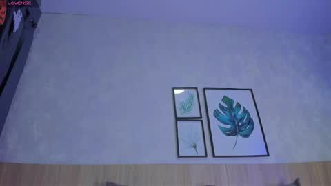 Snapshot of alanna_hank chatting on 11.04.25 Alanna online show from 11.04.25