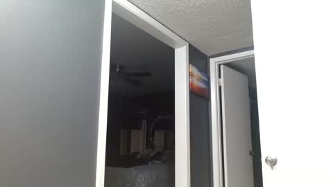 Alanna Rack online show from 03.16.26