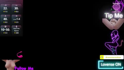 Snapshot of alaskasky chatting on 02.03.25 TheAlaskaSky online show from 02.03.25