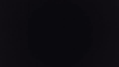 Snapshot of albert391 chatting on 12.23.24 Albert online show from 12.23.24