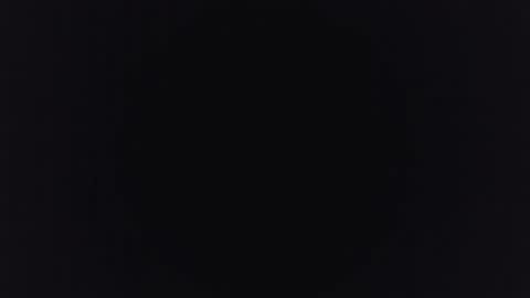 Snapshot of albert391 chatting on 12.25.24 Albert online show from 12.25.24