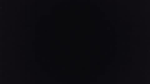 Snapshot of albert391 chatting on 12.26.24 Albert online show from 12.26.24