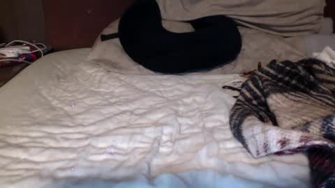 albertalbert9 online show from 12.13.24