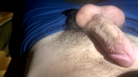 albnesi online show from 01.09.25