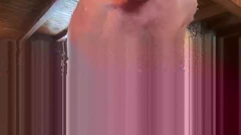 alchemy8129 online show from 02.08.26