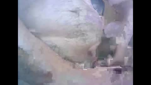 Snapshot of aleksandarcoabatica chatting on 10.22.25 aleksandarcoabatica online show from 10.22.25