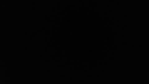 Snapshot of alex_blu chatting on 02.26.26 Alex online show from 02.26.26