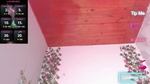 Dani online show from 01.24.25