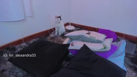 Snapshot of alexa_will chatting on 03.31.26 alexa_will online show from 03.31.26