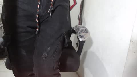 Alexamdergal online show from 03.12.26